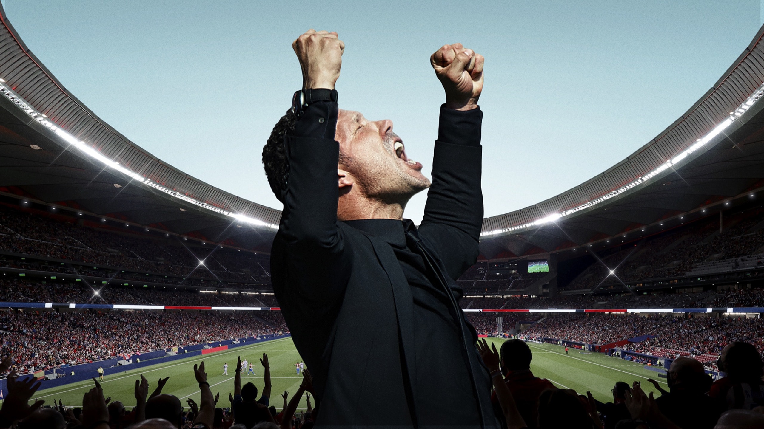 Vivir partido a partido